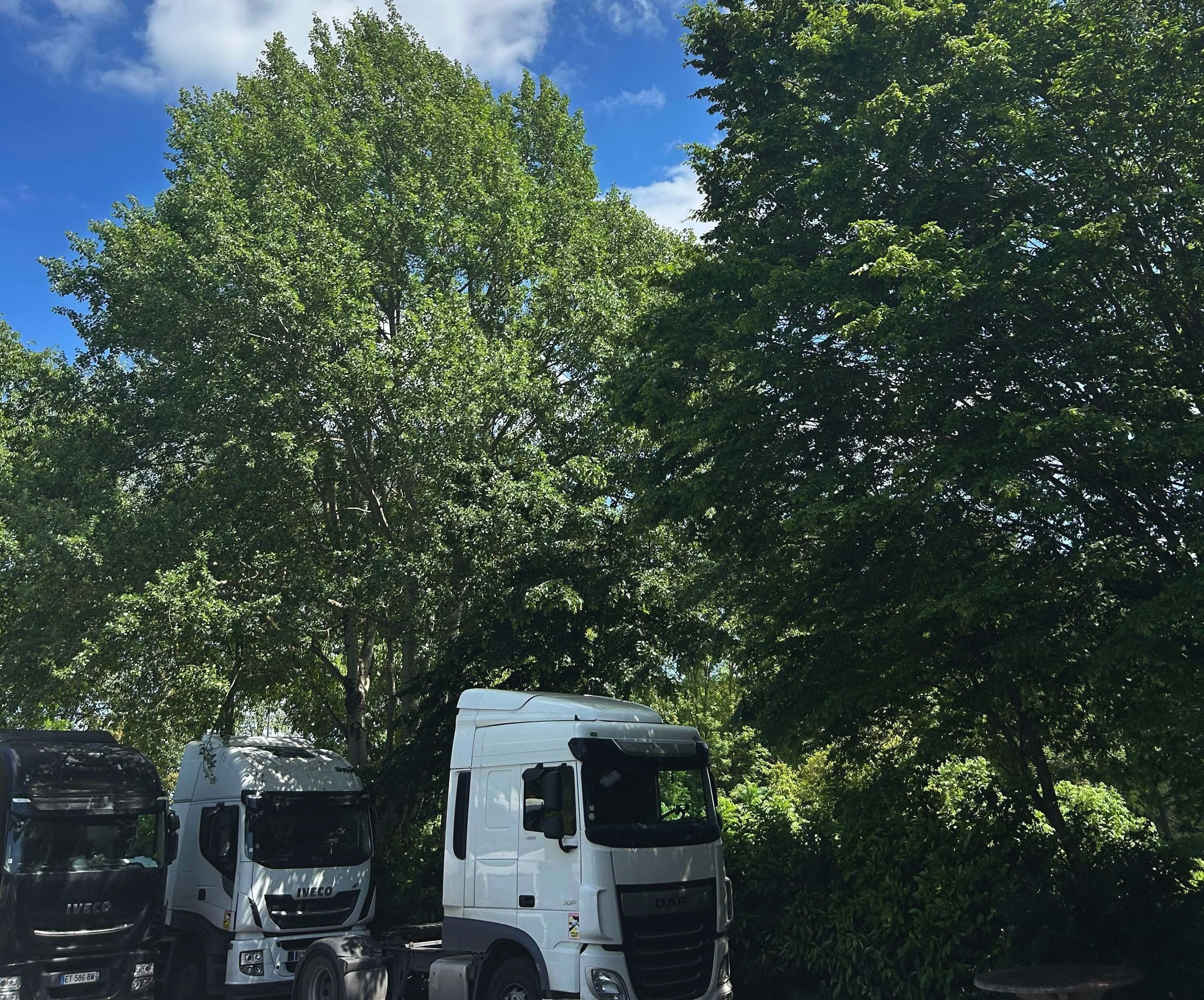 Nos engagements environnementaux